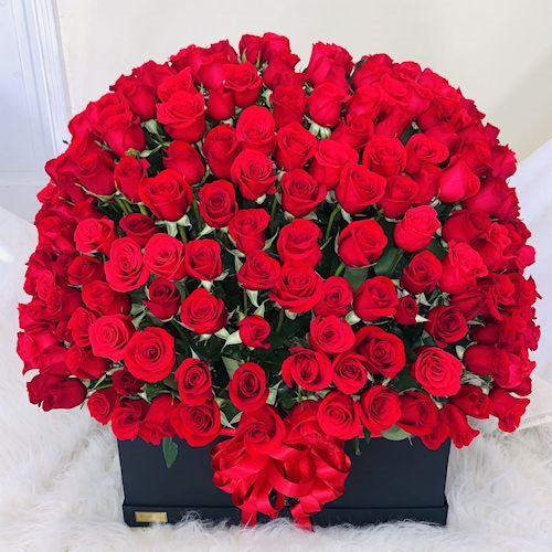 Arrangement of 400 red roses  with seasonal foliage in a luxurious black box.