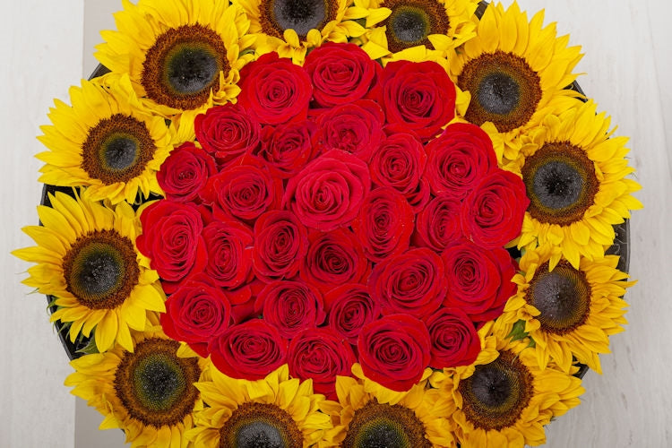 GROOVE OF SUNFLOWERS & ROSES