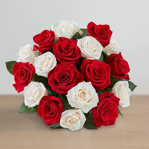 Bouquet of 12, 24, or 36 Red and White Roses - Delivery Across Colombia