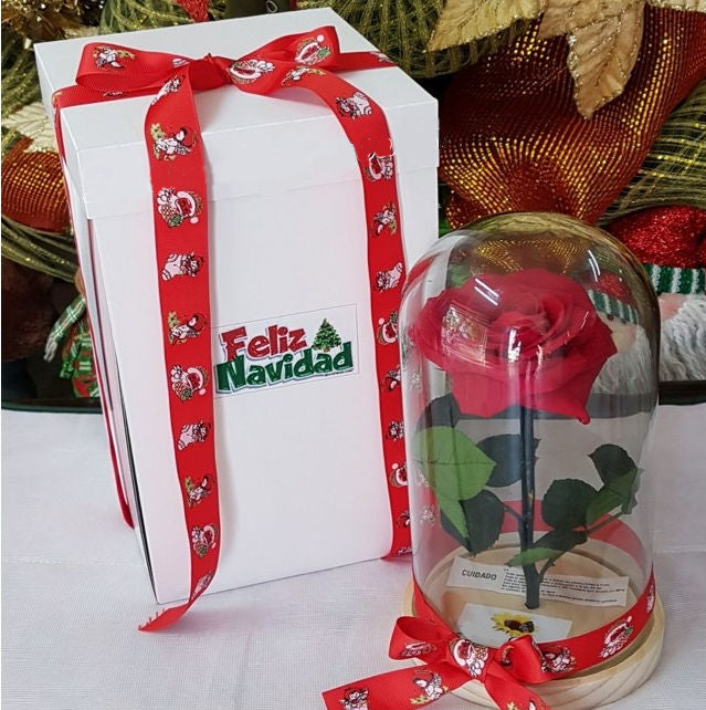 Preserved Red Rose in Glass Dome with Festive Gift Box