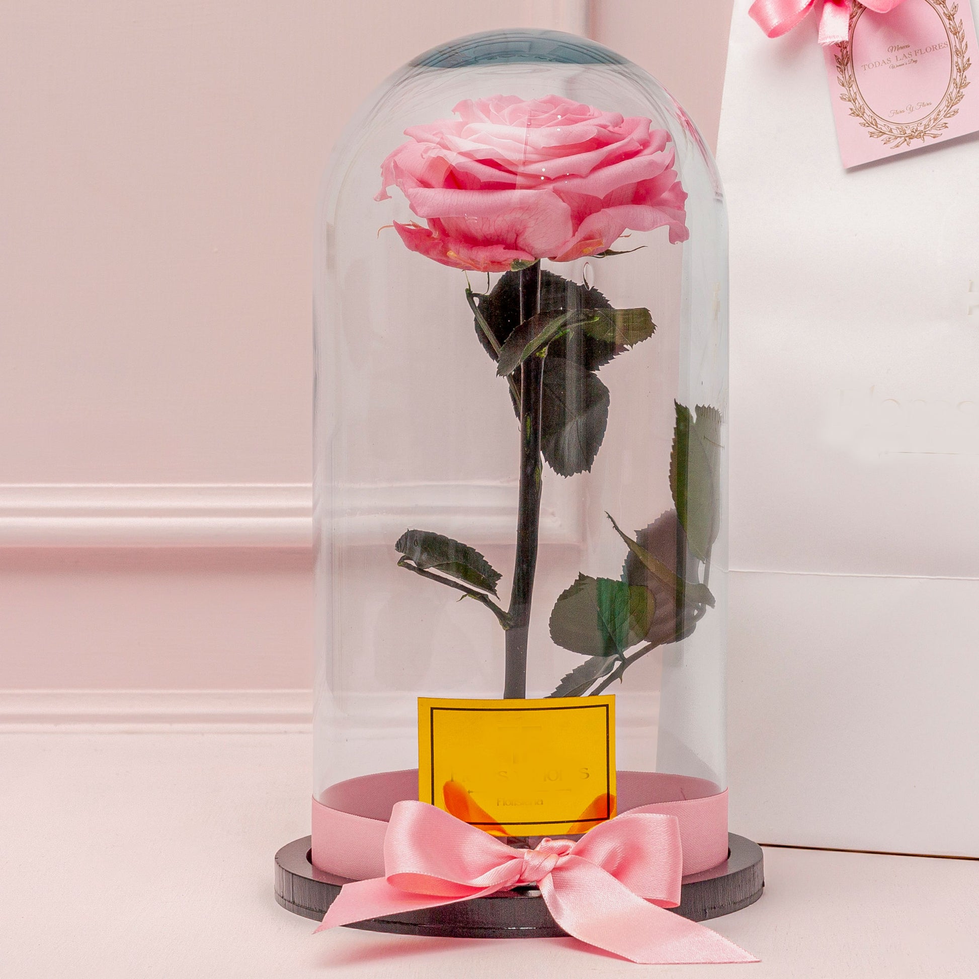 Elegant eternal pink preserved rose in a glass dome with a delicate ribbon. A luxurious and long-lasting Women's Day gift for delivery in Medellín