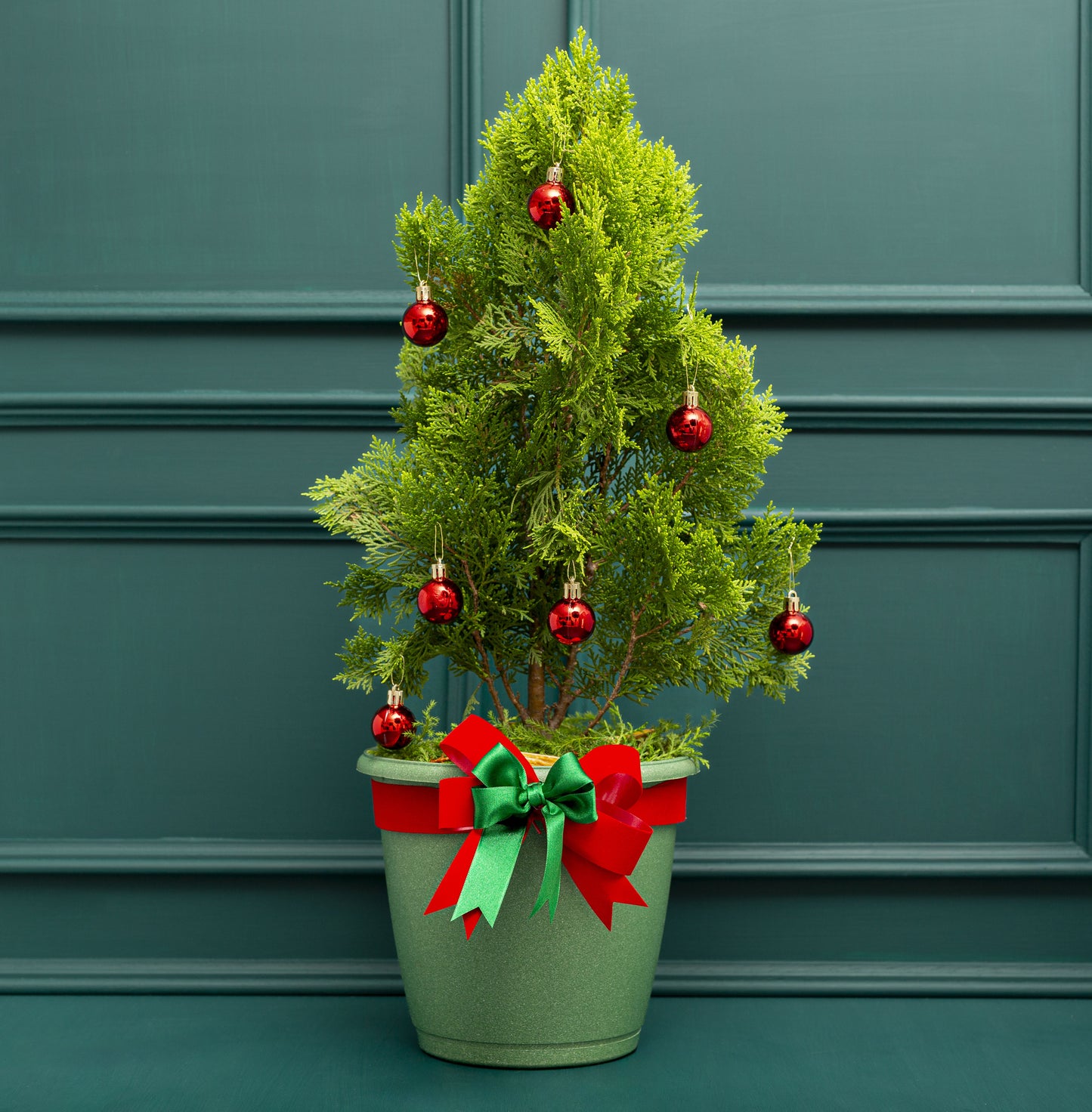 Natural 40 cm Christmas tree with red ornaments and decorative bow for delivery in Medellín, Colombia.