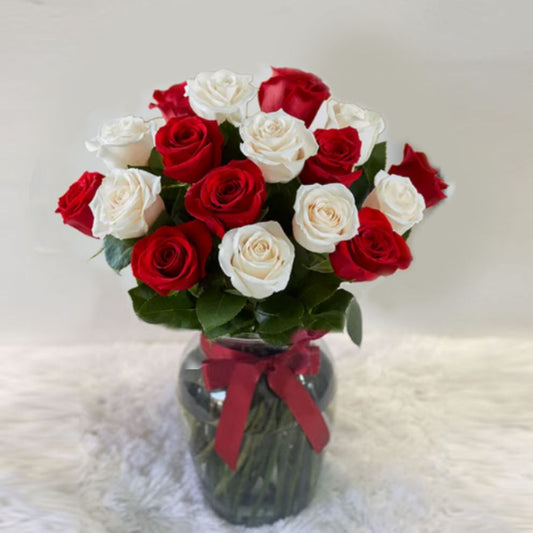 12 Red and White Roses in a Glass Vase