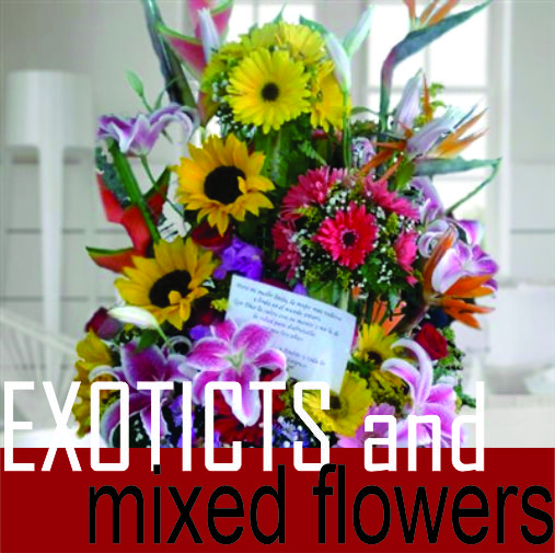 Cali Colombia Florist To Send Flowers Online Floristerias En Cali